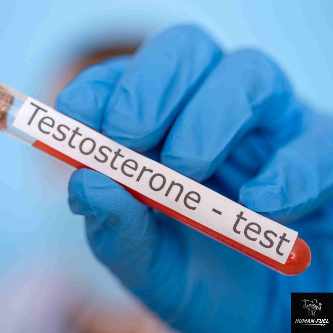 Der stille Verfall: Warum Testosteron bei Männern drastisch sinkt – und was das für dich bedeutet